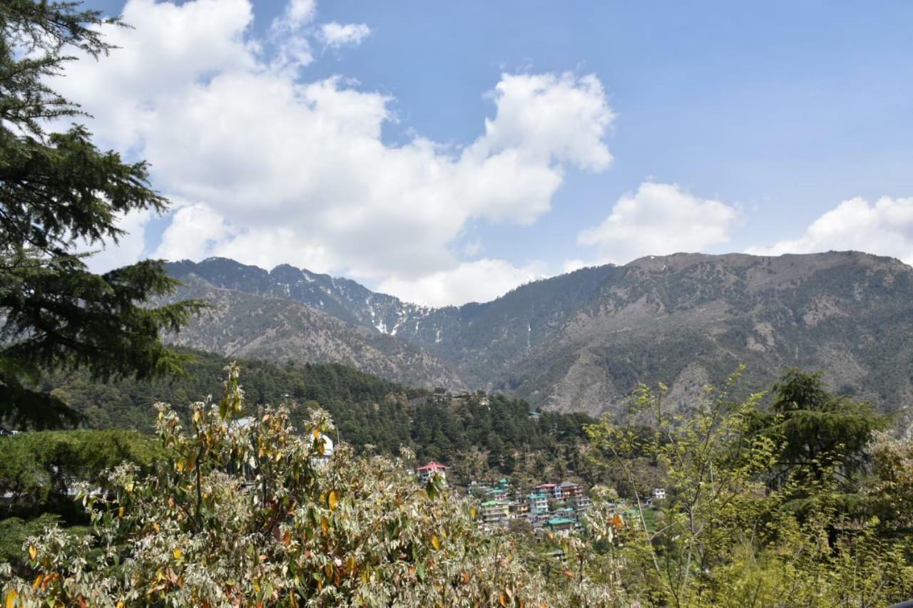 Misty Woods Hotel Dharamshala Exterior photo
