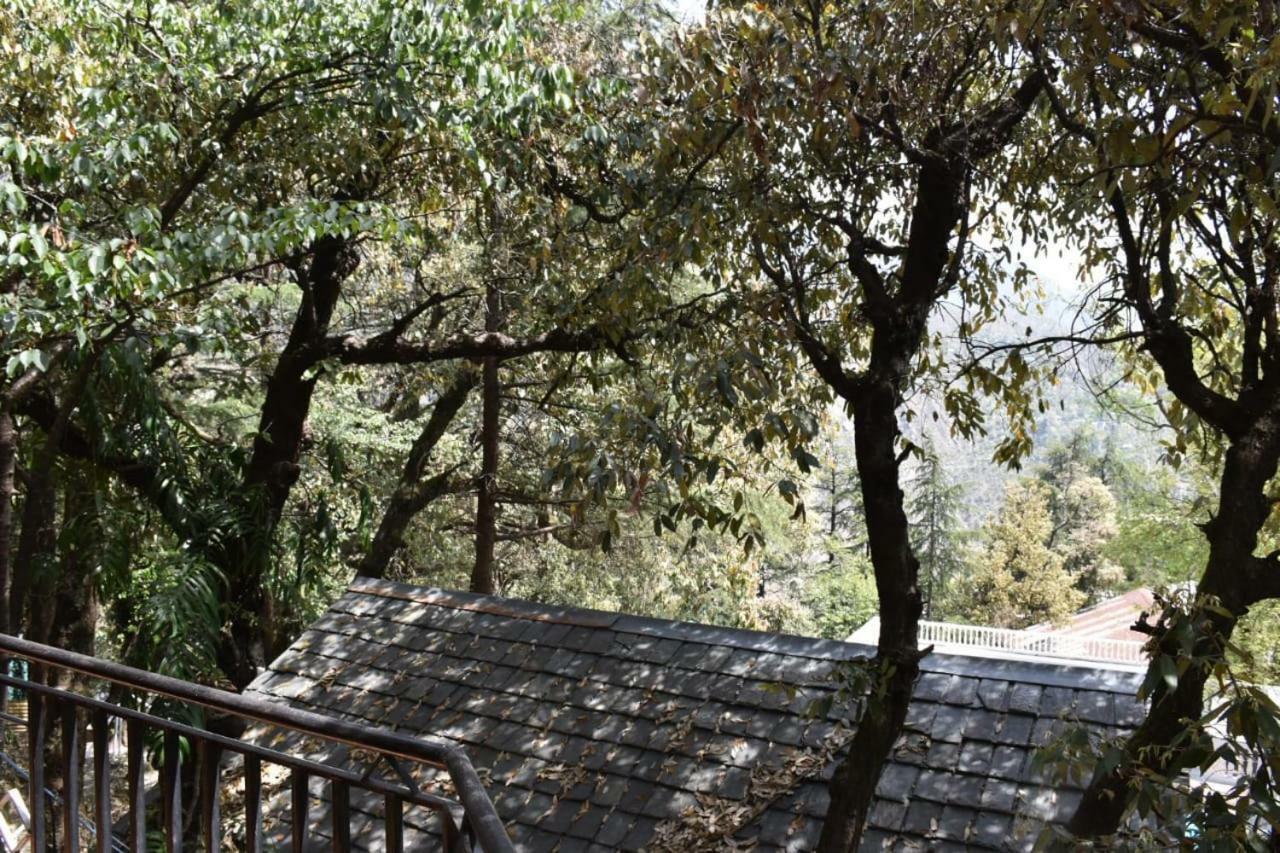 Misty Woods Hotel Dharamshala Exterior photo