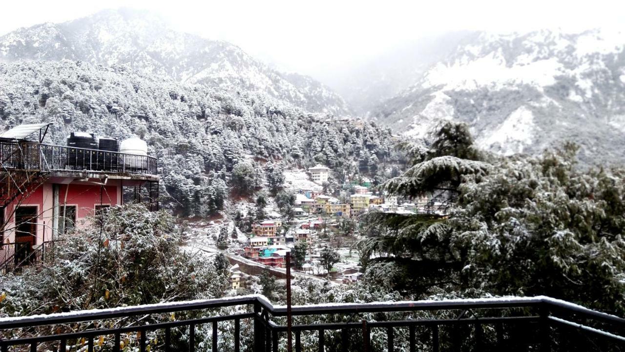 Misty Woods Hotel Dharamshala Exterior photo